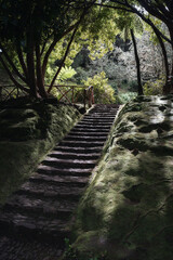 Obraz premium Levada Do Caldeirao Verde