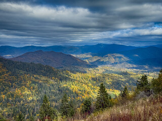 Fototapeta premium The landscape of Carpathian Mountains in the sunny weather. Perfect weather condition in the autumn season