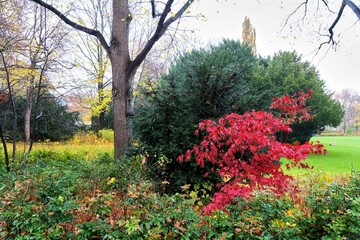 Herbstlich Park mit Wiese, Sträuchern und Bäumen im Nebel