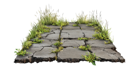 Cracked Pavement With Overgrown Grass Isolated On Transparent Background
