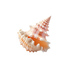 Obraz premium A stunning spiral shell showcasing intricate patterns and colors, symbolizing the beauty of ocean life and nature's artistry, captivating with its elegant curves and textures.
