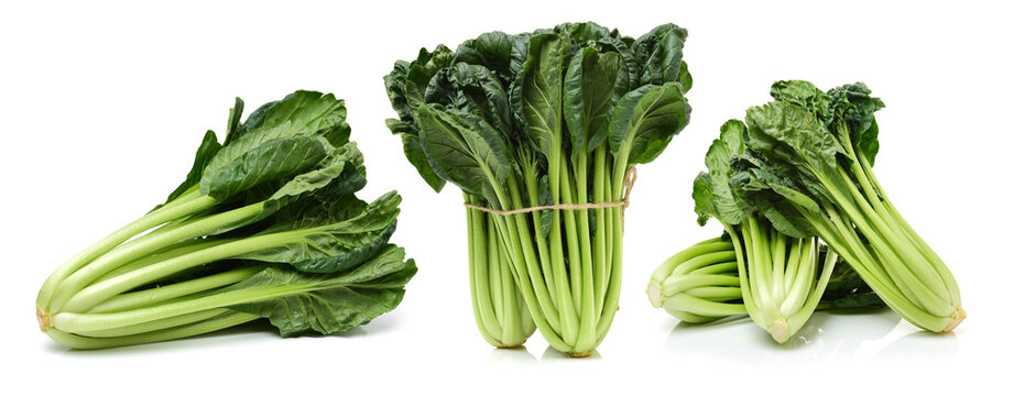 Fresh harvested Tah Tsai lettuce isolated on white. Tah Tsai or (Tatsoi) a commly used green leaf vegetable in Chinese and oriental dishes.