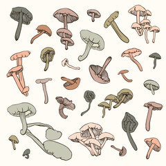 set with many vector mushrooms with dark outline on white background
