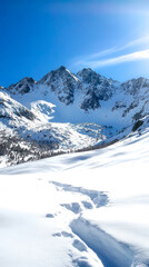 Obraz premium A serene winter landscape featuring snow-covered mountains under a bright blue sky, with footprints leading through the untouched snow.