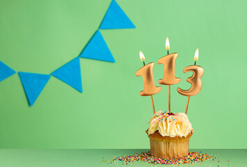 Birthday cupcake with number 113 candle - Green background with blue pennants.