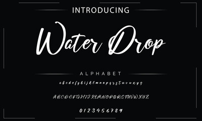 Obraz premium Signature Font Calligraphy Logotype Script Font Type Font lettering handwritten