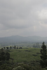 A beautiful, misty landscape with rolling hills covered in lush green vegetation, likely tea plantations.