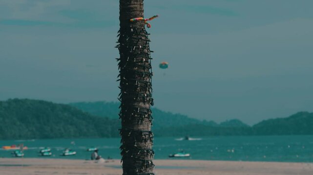 Close-up of a palm tree trunk with black cable ties against a tropical beach backdrop with jet skis and a parasailer, showing nature and human touch