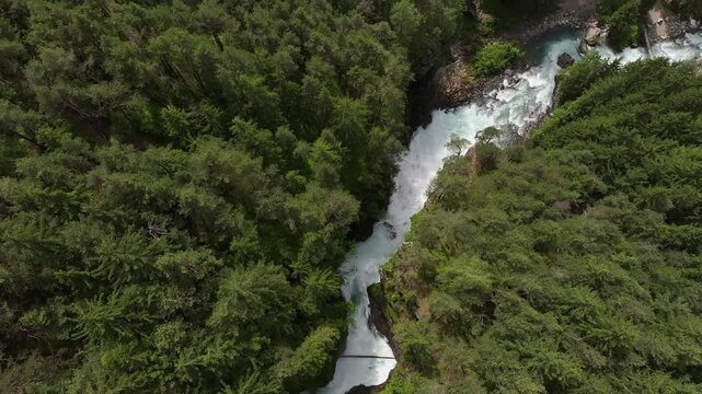 Reinbach waterfall cascade cutting through dense trees, seen from above
