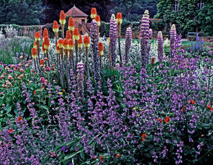 Flower Border in Country House Garden