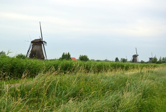 die M&uuml;hlen in Kinderdyck,Niederlande