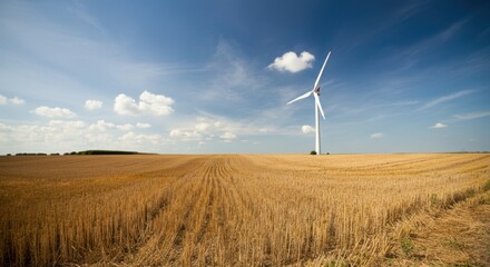 Wind turbine in golden wheat field under blue sky