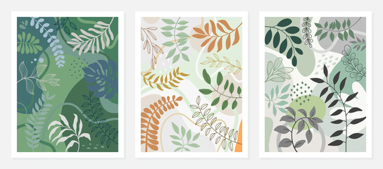 Spring background with beautiful. Colorful background with tropical plants.