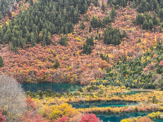 fall colors in the mountains