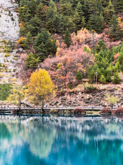 Naklejka premium Colorful landscapes in autumn