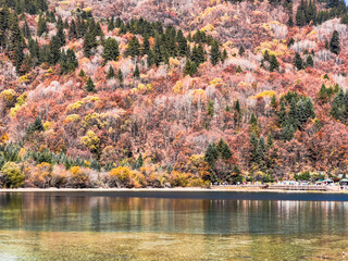 Naklejka premium autumn colors in the lake