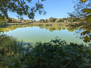 Landscape. Nature. A landscape when your gaze from the forest goes far ahead, where water and sky...