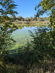 Landscape. Nature. A landscape when your gaze from the forest goes far ahead, where water and sky...