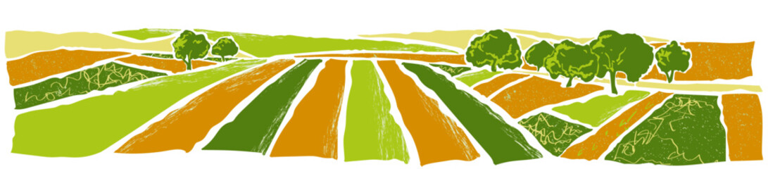 Green grass field on small hills. Meadow, alkali, lye, grassland, pommel, lea, pasturage, farm. Rural scenery landscape panorama of countryside pastures. Vector sketch illustration