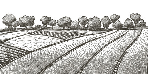 Green field landscape on small hill. Vector meadow grass, nature, pasturage, farm. Rural scenery landscape panorama of countryside pastures. © mozart3737