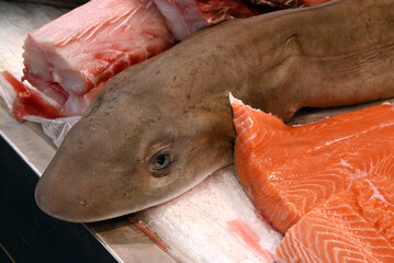Grande roussette sur l'étal d'une poissonnerie