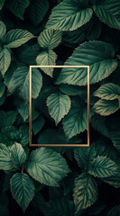 Fototapeta premium Dark green leaves arranged with a gold square frame.Minimal creative nature advertise concept.Copy space,flat lay 
