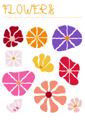 Mod&egrave;les de fleurs 