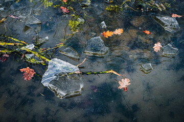 Blocks of ice form on a frozen pool, adorned with the last autumn leaves on a cold winter day