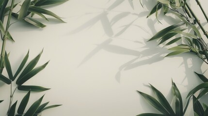 Fototapeta premium Bamboo Leaves Frame: A serene and minimalist composition showcasing delicate bamboo leaves framing a blank space, casting elongated shadows, perfect for a nature-inspired design backdrop.