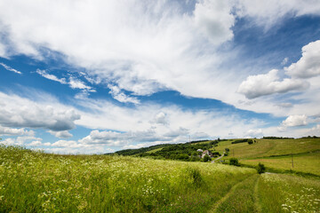 Obraz premium landscape with grass and sky