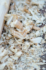 Close-up of thin wood shavings