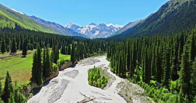 Flowing river and green forest with snow mountain natural landscape in Xiata Scenic Area, Xinjiang. Famous travel destinations in China. Summer scenery.
