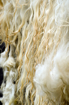Wool hanging for drying at Agapia monastery, Romania, Europe