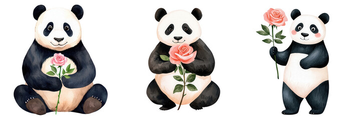 Naklejka premium Animal, Roses, watercolor clipart. Three cute pandas holding roses on a transparent background.