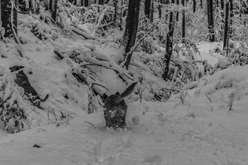 Fototapety na wymiar - Fototapeta24.pl