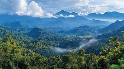 Naklejka premium Panoramic view of lush green mountain range with mist and clouds.