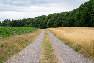 Landscape with a gravel road