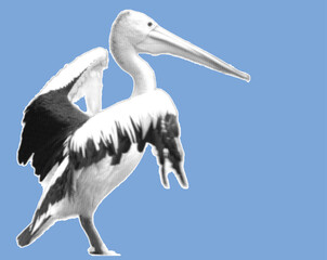 close up side view of stork pixelate grayscale color halftone dotted texture style collage element isolated on blue background