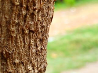 Obraz premium Wall texture that has been outside for a long time 