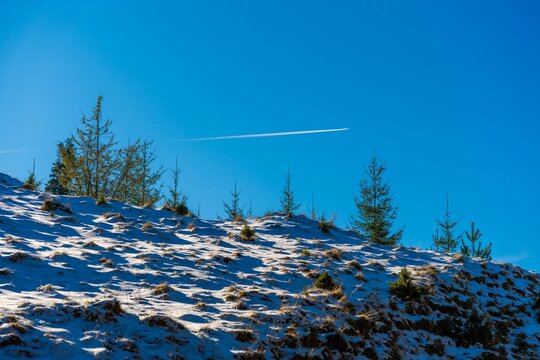 Snowy hillside with evergreen trees and contrail - Powered by Adobe
