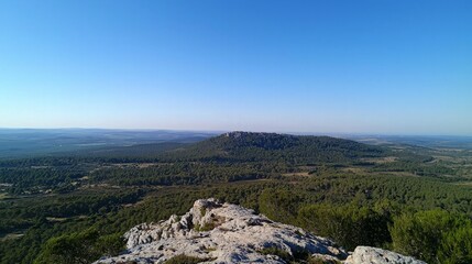 Panoramic view of a vast landscape from a rocky peak, featuring a distant hill and lush green forests under a clear blue sky.