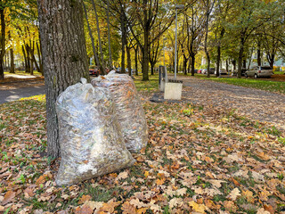 Transparent plastic bags filled with autumn leaves stand outdoors, waiting for collection. Seasonal...