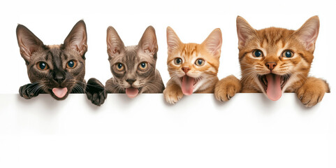 Five Cute Kittens Sticking Tongues Out with Playful Expressions