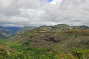 landscape of Waimea canyon Kauai