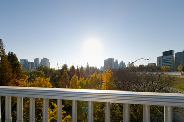 Fototapeta premium city view, landscape seen from a bridge, surrounded by buildings, and autumnal trees, on a sunny day, with a peaceful and warm feel 