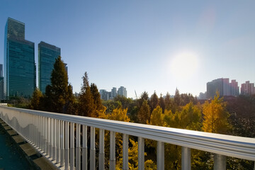 city view, landscape seen from a bridge, surrounded by buildings, and autumnal trees, on a sunny...