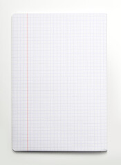 Blank, empty Page of a chequered notebook with margins mock up for your text an outline at university or school