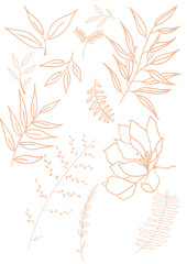 v&eacute;g&eacute;taux