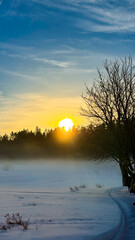 Fototapeta premium sunset, allgäu, evening sky, snow, winter, winter wonderland, christmas, wallpaper, orange, red, blue, field, hill, mountains