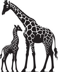 Naklejka premium Mother giraffe standing protectively over a baby giraffe